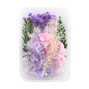 9131 Real dried flowers everlasting flower box handmade diy material - Paper Whimsy Studio