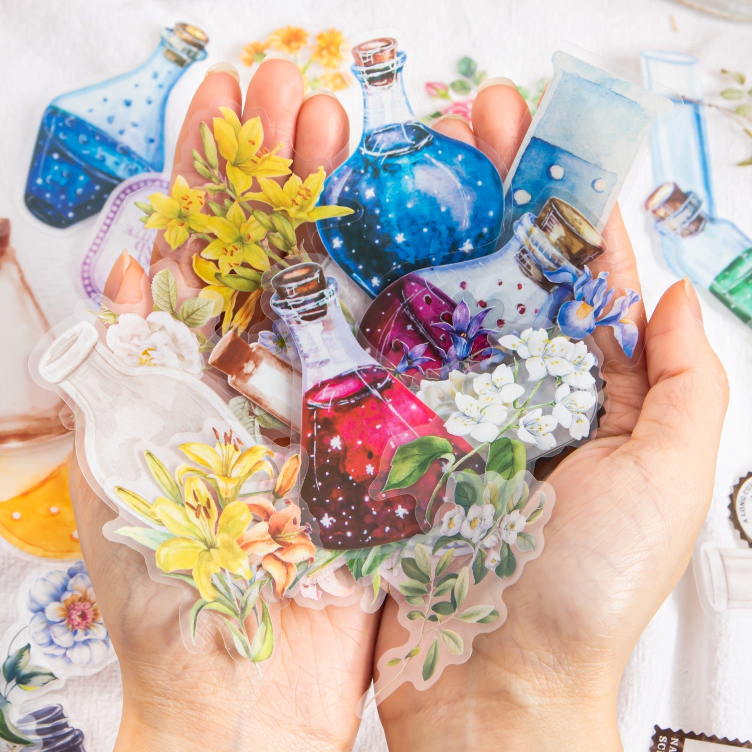 [2603-134] Botanical Label PET Sticker Pack 6 Styles