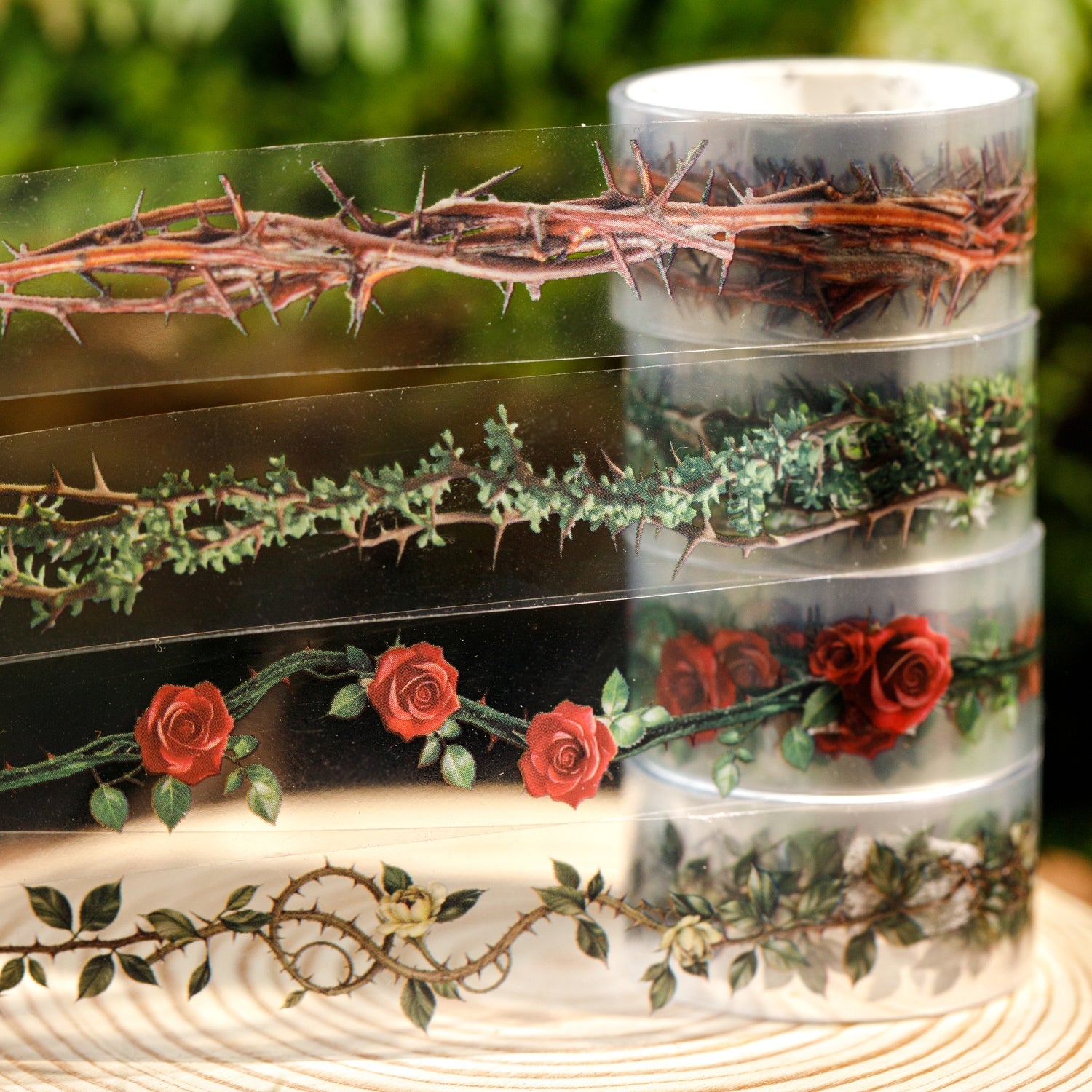 [2601-187] Thorn Garden Botanical PET Washi Tape
