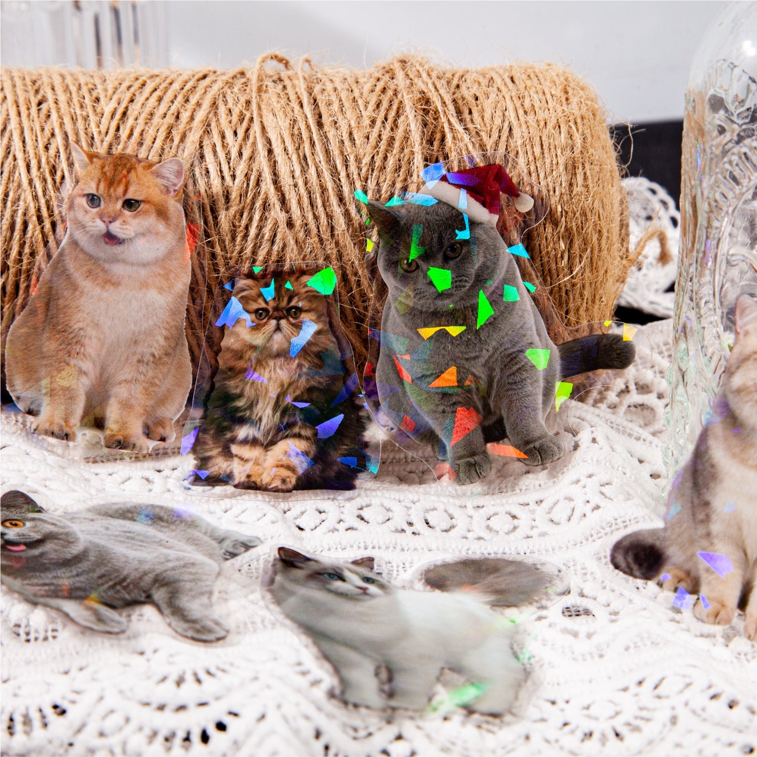[2601-146] Iridescent Animal PET Stickers – Holographic Shell Light Collage Set (6 Designs)