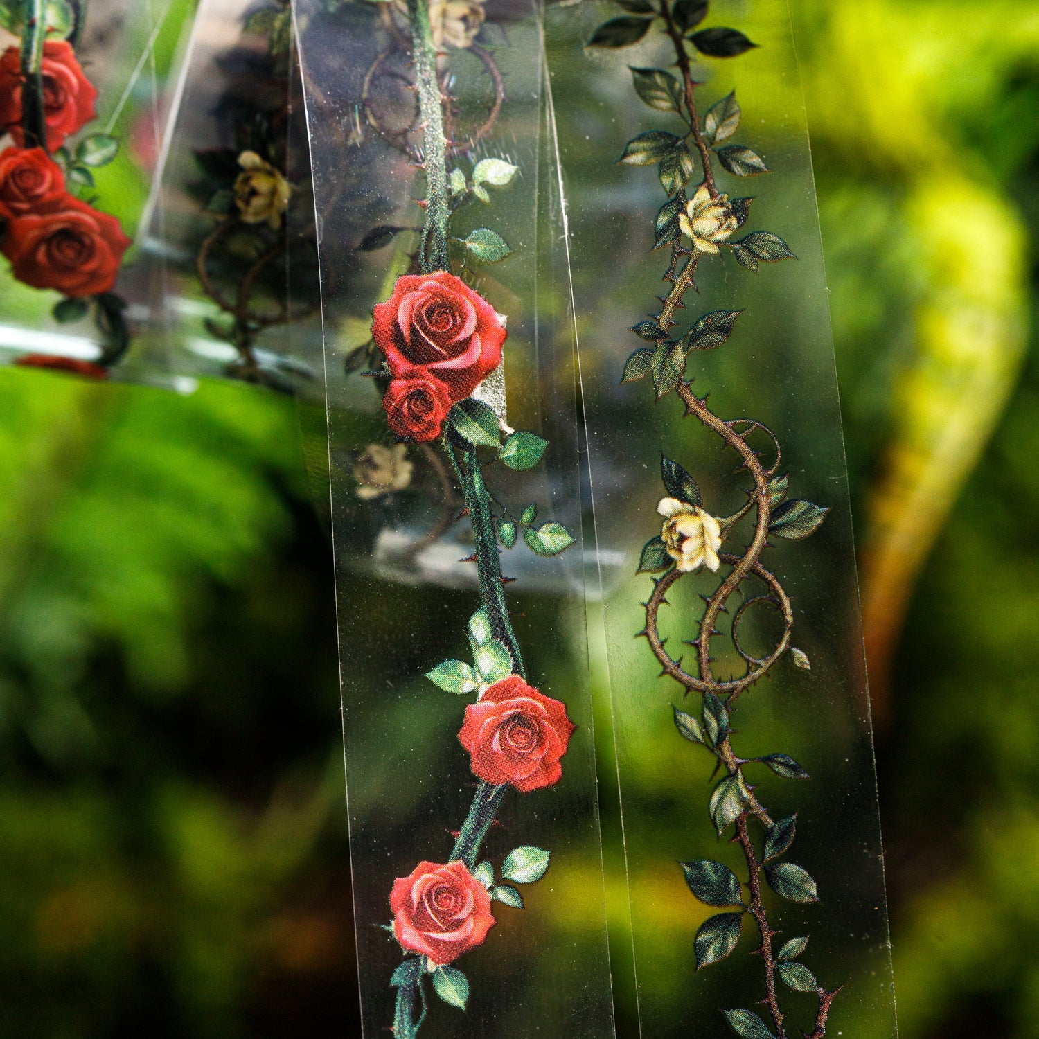 [2601-187] Thorn Garden Botanical PET Washi Tape