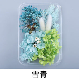 9131 Real dried flowers everlasting flower box handmade diy material - Paper Whimsy Studio