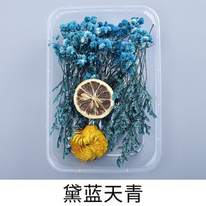 9131 Real dried flowers everlasting flower box handmade diy material - Paper Whimsy Studio