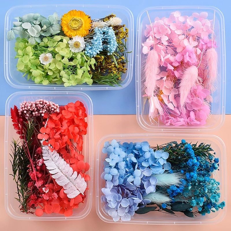 9131 Real dried flowers everlasting flower box handmade diy material - Paper Whimsy Studio